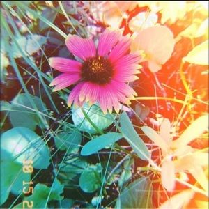 Meet your Posher, Jayme